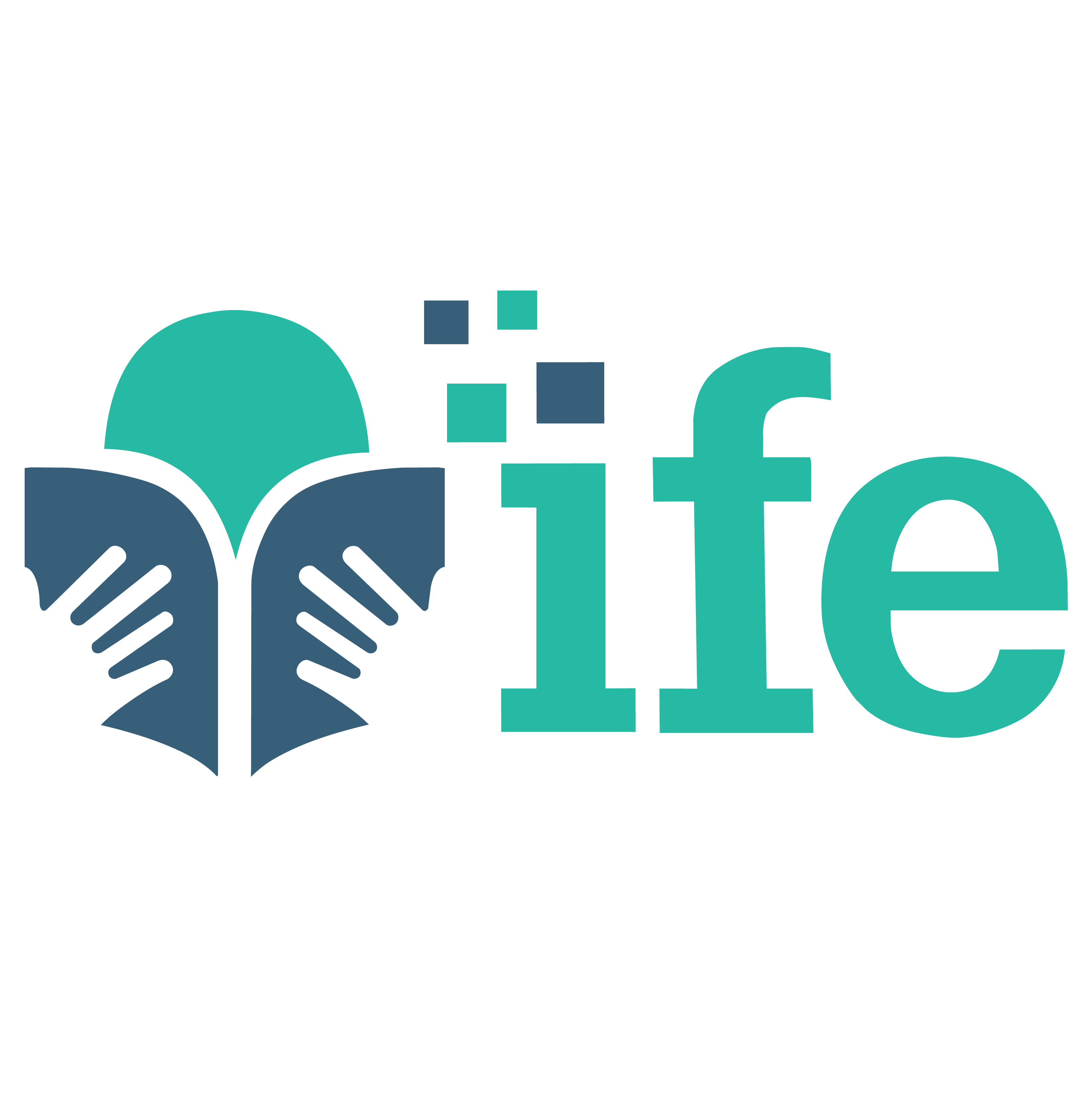 Logo IFE